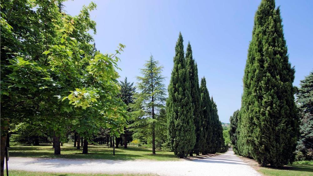 Convento Di San Francesco Mondaino Bed & Breakfast Bagian luar foto