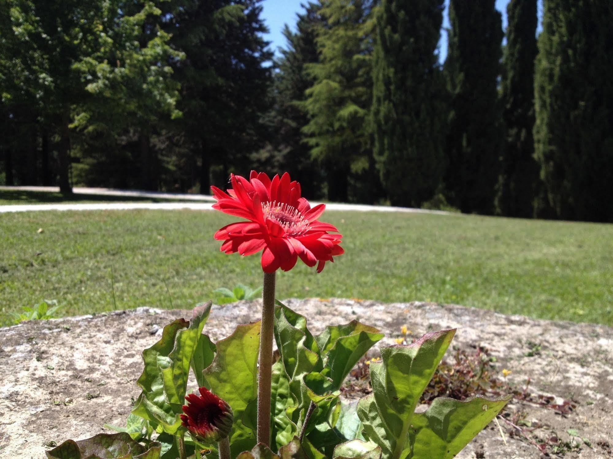 Convento Di San Francesco Mondaino Bed & Breakfast Bagian luar foto